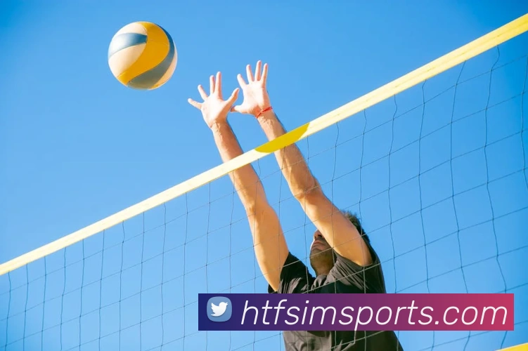 体育下注服务体系